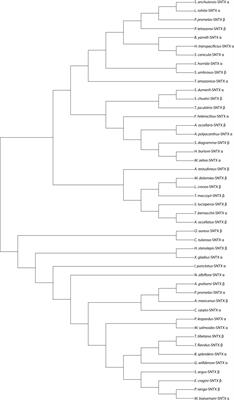 The perspective of fish venom: An overview of the physiology, evolution, molecular and genetics